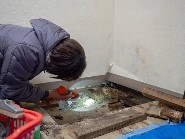 Best Airborne Mold Testing  in Pulaski, TN