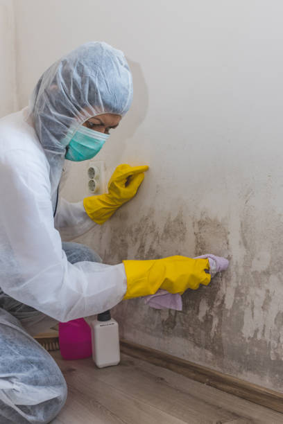Best Air Quality Testing for Mold Spores  in Pulaski, TN