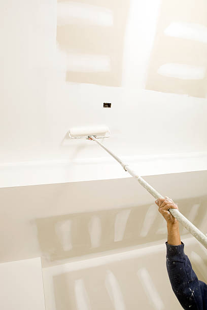 Best Mold Documentation for Insurance Claims  in Pulaski, TN