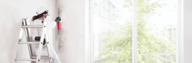 Best Mold-Related Health Consultation  in Pulaski, TN